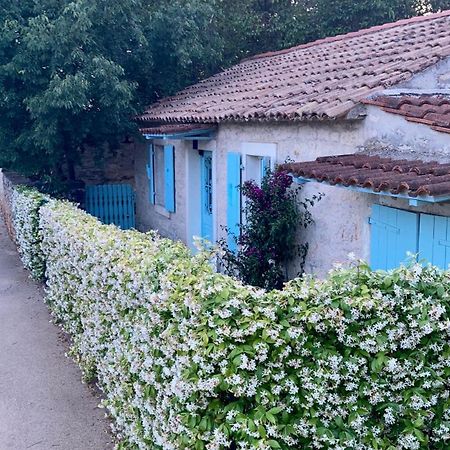 Vila Majda Tar-Vabriga Exterior photo