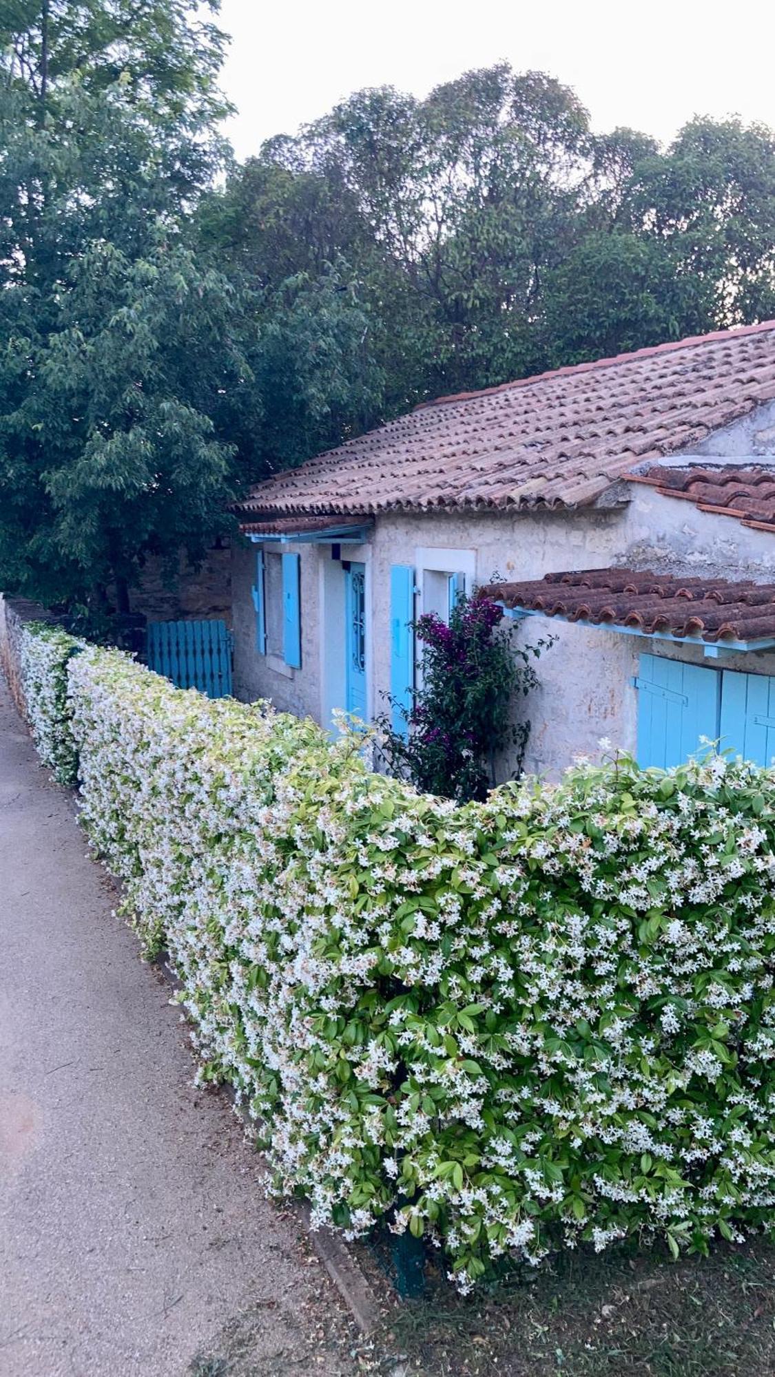 Vila Majda Tar-Vabriga Exterior photo